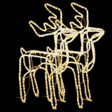 VidaXL Christmas figure reindeer 2 pcs 76x42x87 cm warm white