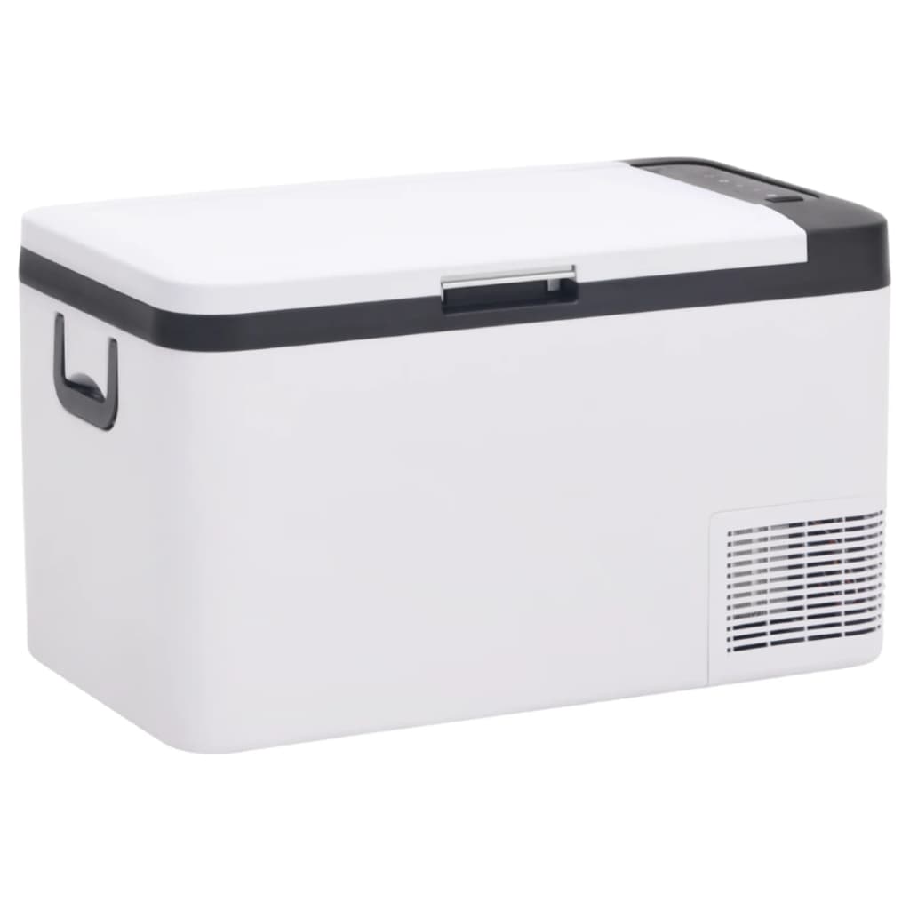 Vidaxl cool box with handle 18 l PP PE Black and white