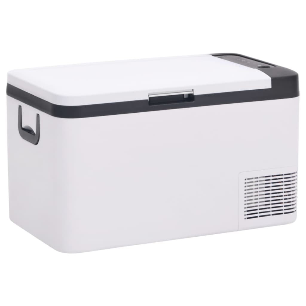 Vidaxl cool box with handle 25 l PP PE Black and white