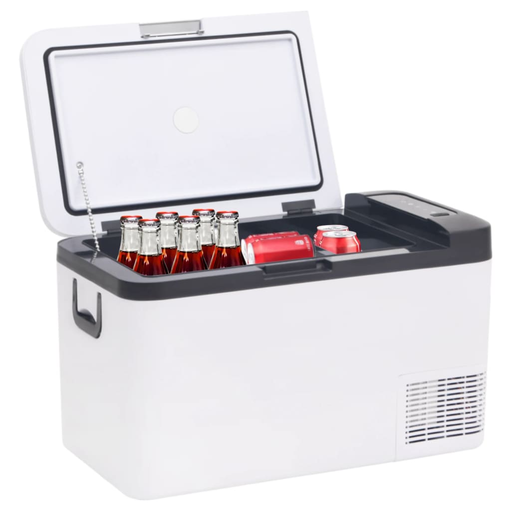 Vidaxl cool box with handle 25 l PP PE Black and white