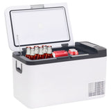 Vidaxl cool box with handle 25 l PP PE Black and white