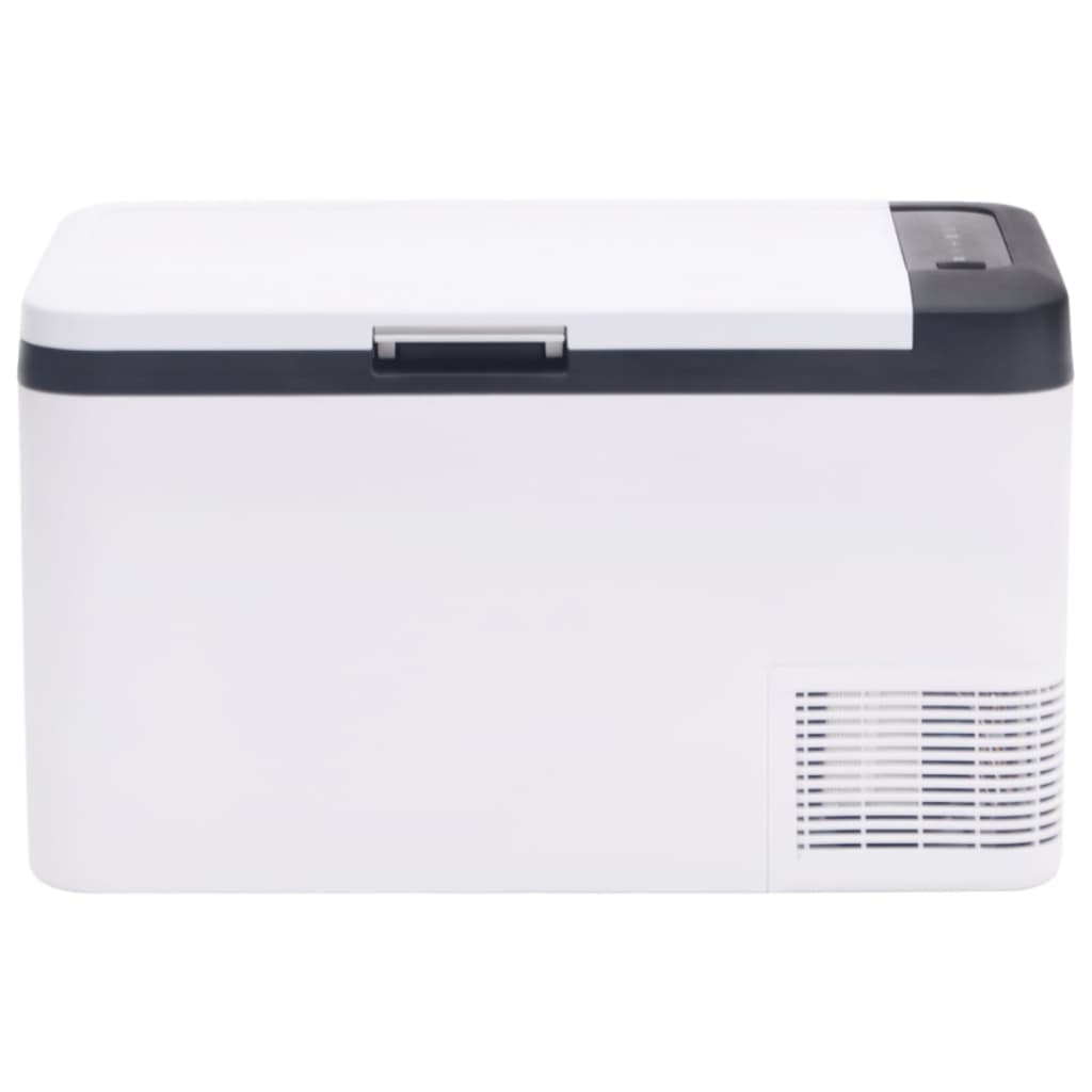 Vidaxl cool box with handle 25 l PP PE Black and white