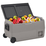 Vidaxl cool box with wheels and handle 60 L Polypropene Black and Gray