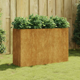 Spanter Vidaxl zvedl 120x40x80 cm Cortenstaal
