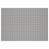 VidaXL Weakage blanket 140x200 cm 6 kg of fabric gray