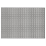 Vidaxl Weakage blanket 140x200 cm 10 kg of fabric gray