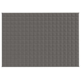Vidaxl Weakage blanket 135x200 cm 10 kg of fabric gray