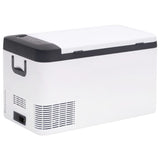 Vidaxl cool box with handle and adapter 18 L PP PE Black and white