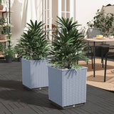 Vidaxl Planters 2 st 30x30x37 cm Polypropene light gray