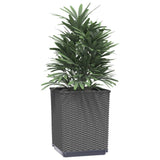 Vidaxl Planters 2 St 30x30x37 cm polipropena črna