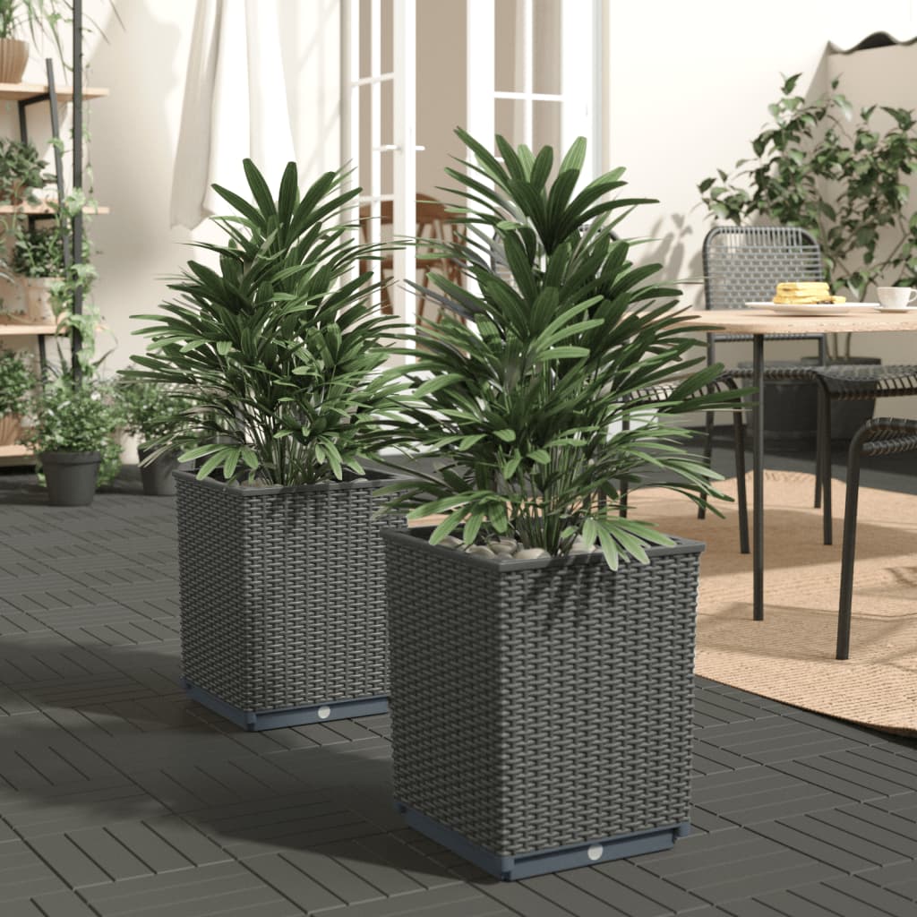 Vidaxl Planters 2 St 30x30x37 cm polipropena črna