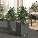 Vidaxl Planters 2 St 30x30x37 cm polipropena črna