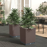 Vidaxl Planters 2 St 30x30x37 cm Polipropen rjava