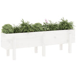 VidaXL Planter raised 121x30x38 cm Solid pine white