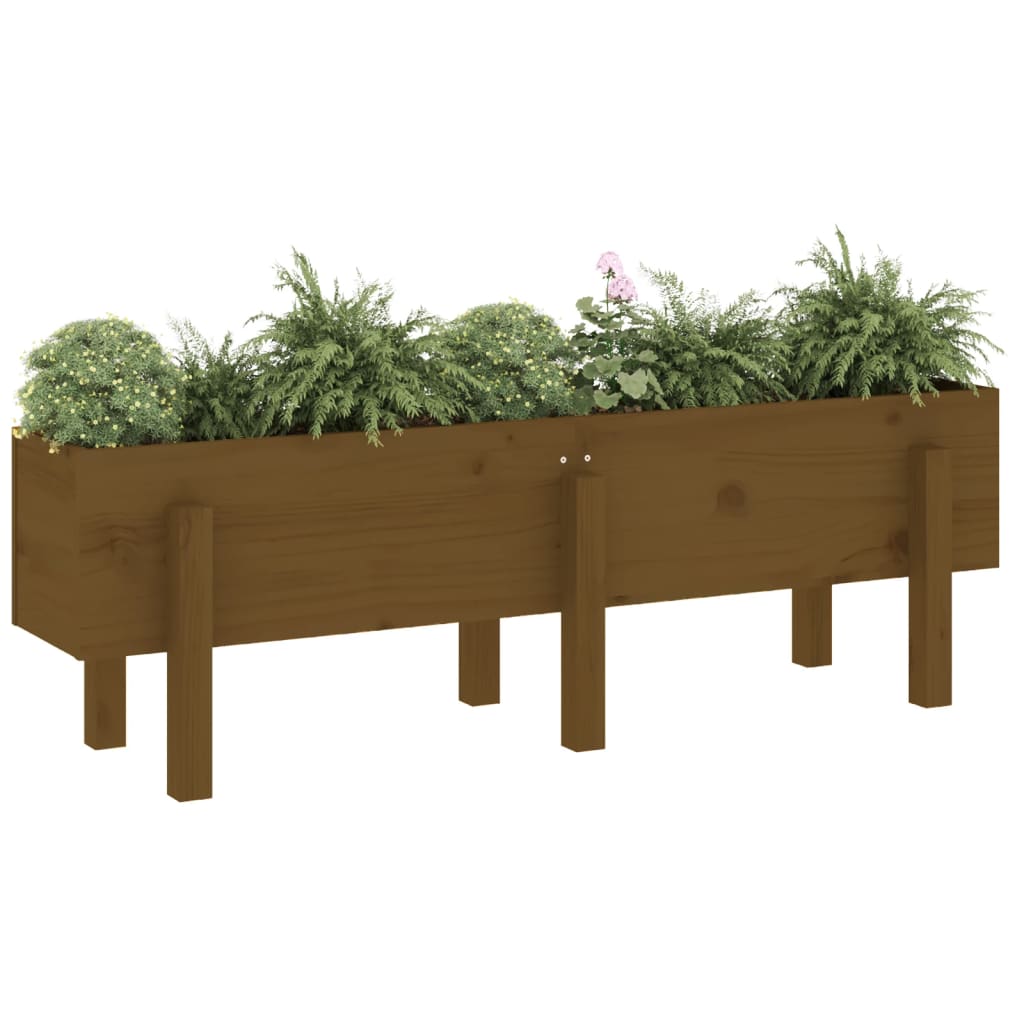 Vidaxl Planter raised 121x30x38 cm Solid pine honey brown