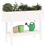 Vidaxl -Pflanzer erhöht 101x30x69 cm Festkiefer weiß