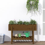 Vidaxl Planter raised 101x30x69 cm Solid pine honey brown