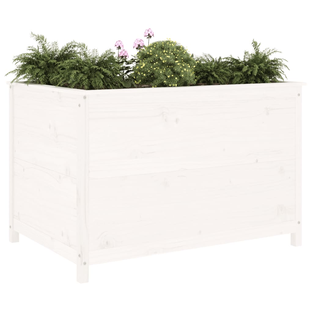 Vidaxl Planter je dvignil 119,5x82,5x78 cm trdno boro belo belo