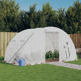 VidaXL TUINKAS with steel frame 8 m² 4x2x2 m