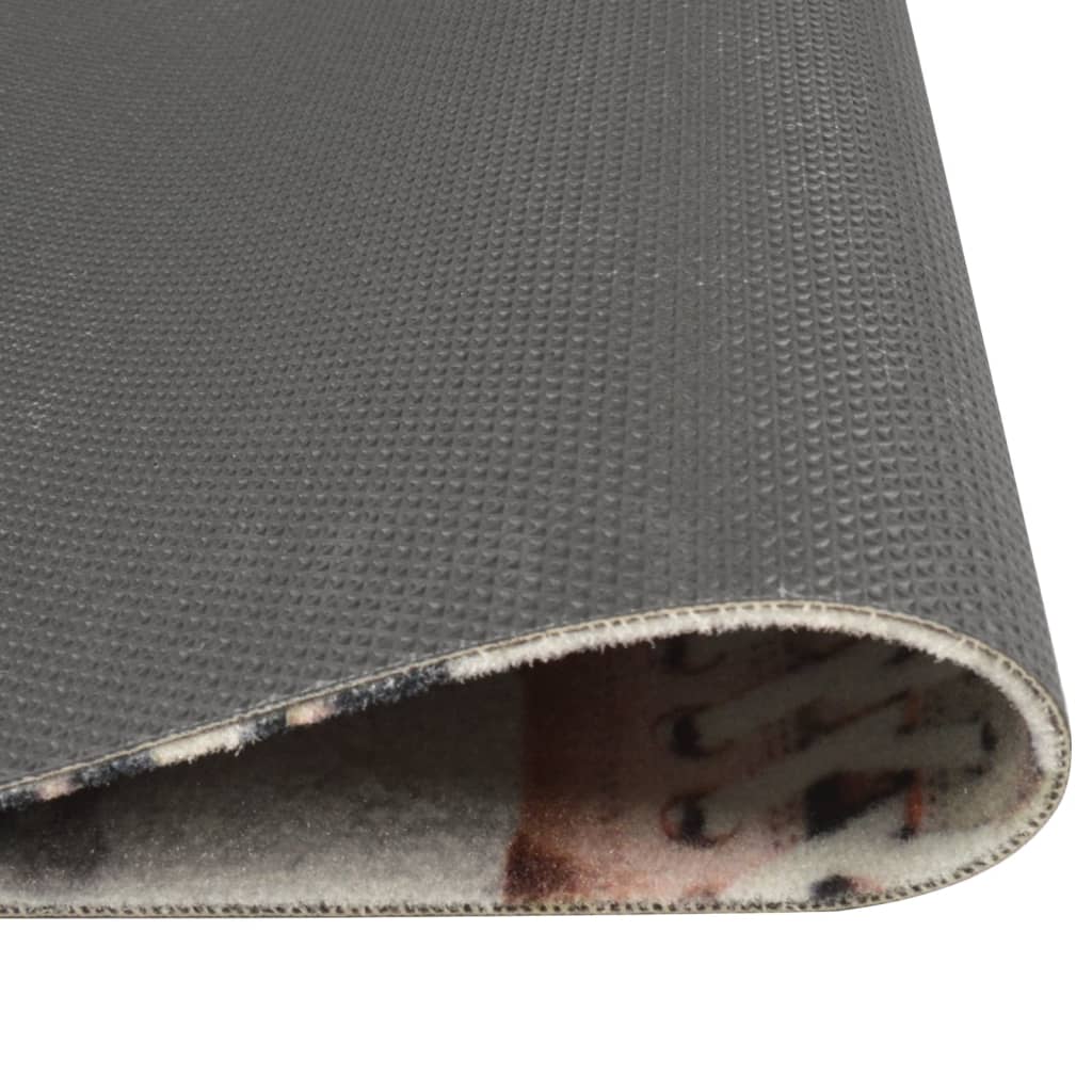 Vidaxl kuchyňská rohož omyvatelná bota potisk 60x300 cm samet