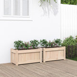 Vidaxl Planters 2 pc cm Solid pine