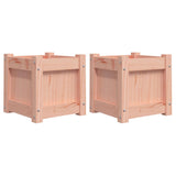 Vidaxl Plantadores 2 PCS Douglhout sólido