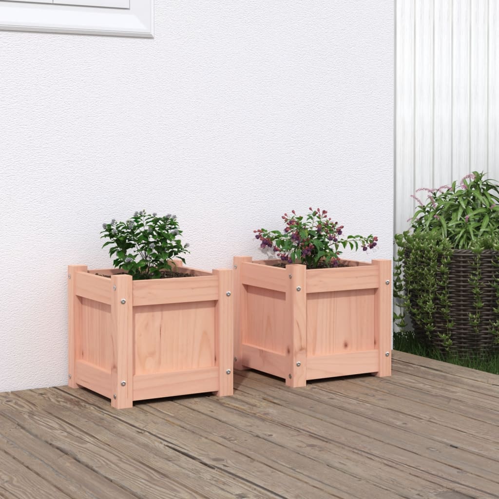 Vidaxl Plantadores 2 PCS Douglhout sólido