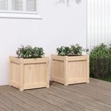 Vidaxl Plantadores 2 PC CM Solid Pine