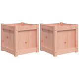Vidaxl Plantadores 2 PCS Douglhout sólido