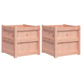 Vidaxl Planters 2 pcs Solid Douglashout