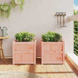 Vidaxl Planters 2 pcs Solid Douglashout