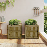 Vidaxl Planters 2 pc cm impregnated wood
