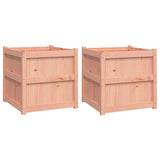 Vidaxl Planters 2 pcs Solid Douglashout
