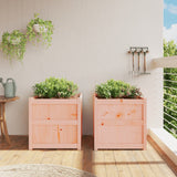 Vidaxl Planters 2 pcs Solid Douglashout
