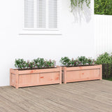 Vidaxl Planters 2 pcs Solid Douglashout