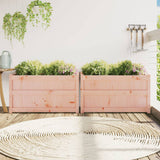 Vidaxl Planters 2 pcs Solid Douglashout