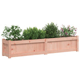 Vidaxl Planters 2 PCS Solid Douglashout