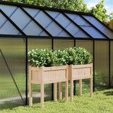 Vidaxl Planters with legs 2 pcs Solid pine