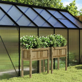 Vidaxl Planters with legs 2 pc cm impregnated wood