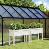 VidaXL Planters With Poots 2 pcs Solid Pine Wit White