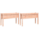 Vidaxl Planters with legs 2 pcs Solid Douglashout