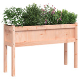 Vidaxl Planters with legs 2 pcs Solid Douglashout