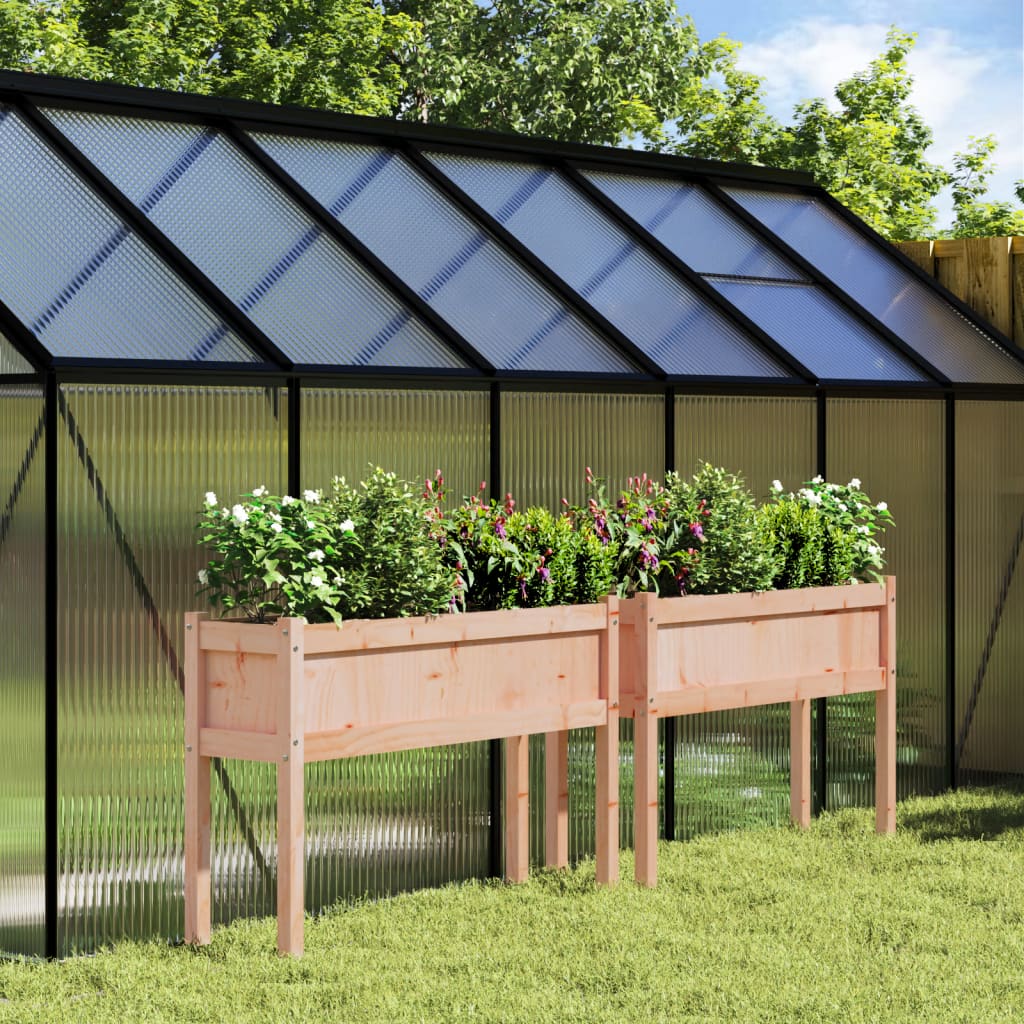 Vidaxl Planters with legs 2 pcs Solid Douglashout