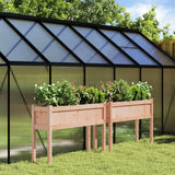 Vidaxl Planters with legs 2 pcs Solid Douglashout