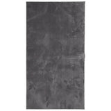 Vidaxl rug harte Low -Pole Softwarble 60x110 cm Anthracit