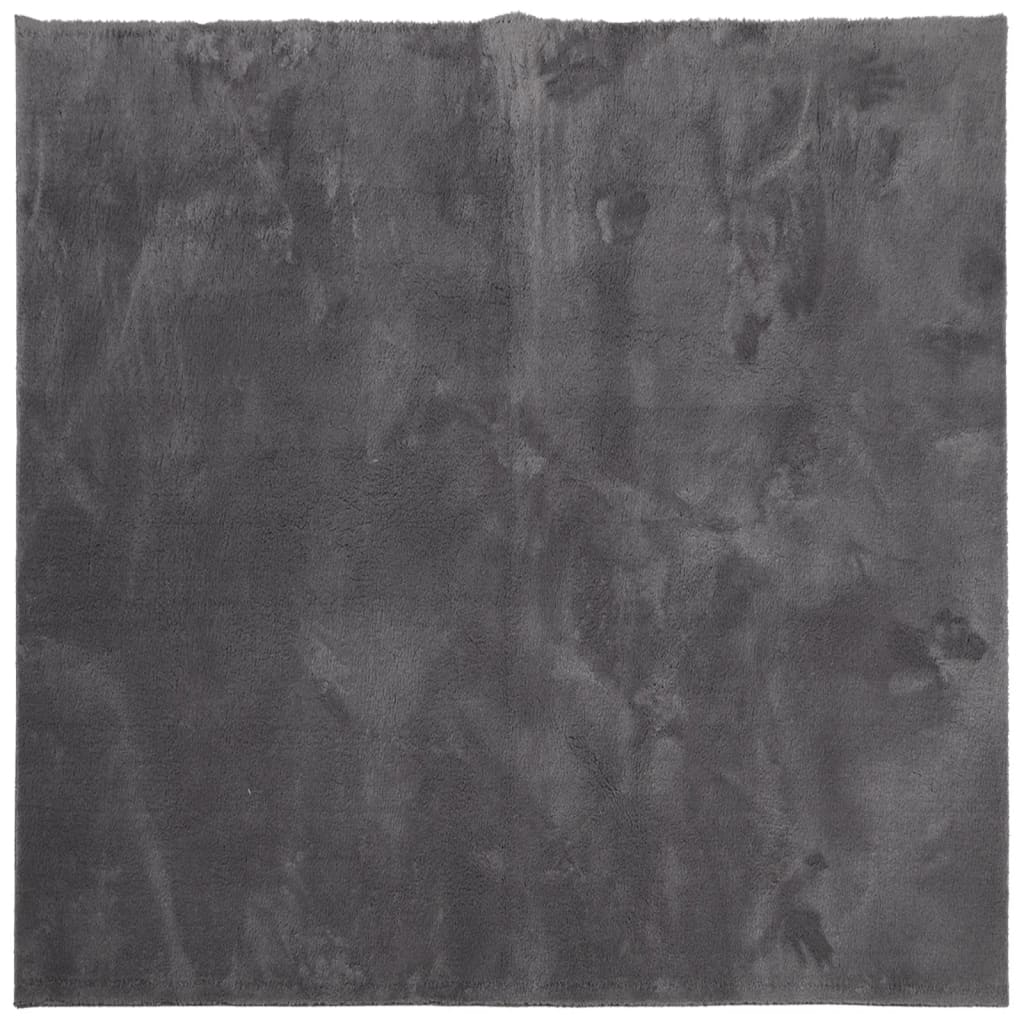 Vidaxl rug harte low -pole mëll war de 2400x24 cm Anthracit