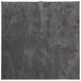 Vidaxl rug harte low -pole mëll war de 2400x24 cm Anthracit