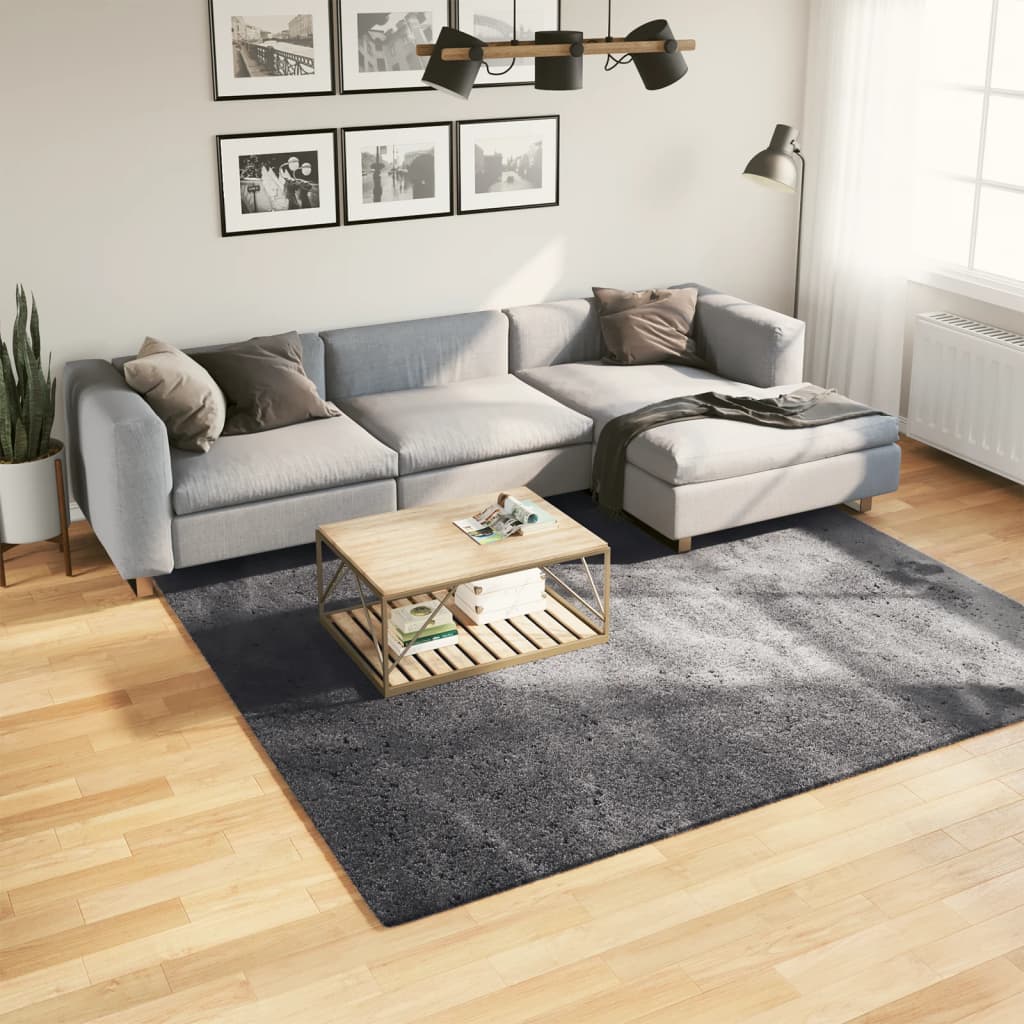 Vidaxl rug harte low -pole mëll war de 2400x24 cm Anthracit