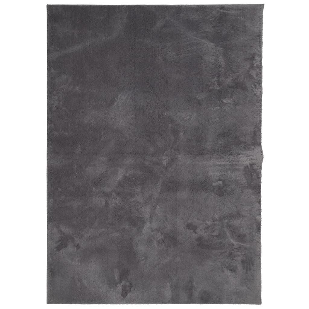 Vidaxl rug harte low -pole mëll ass lackble 240x340 cm Anthracit