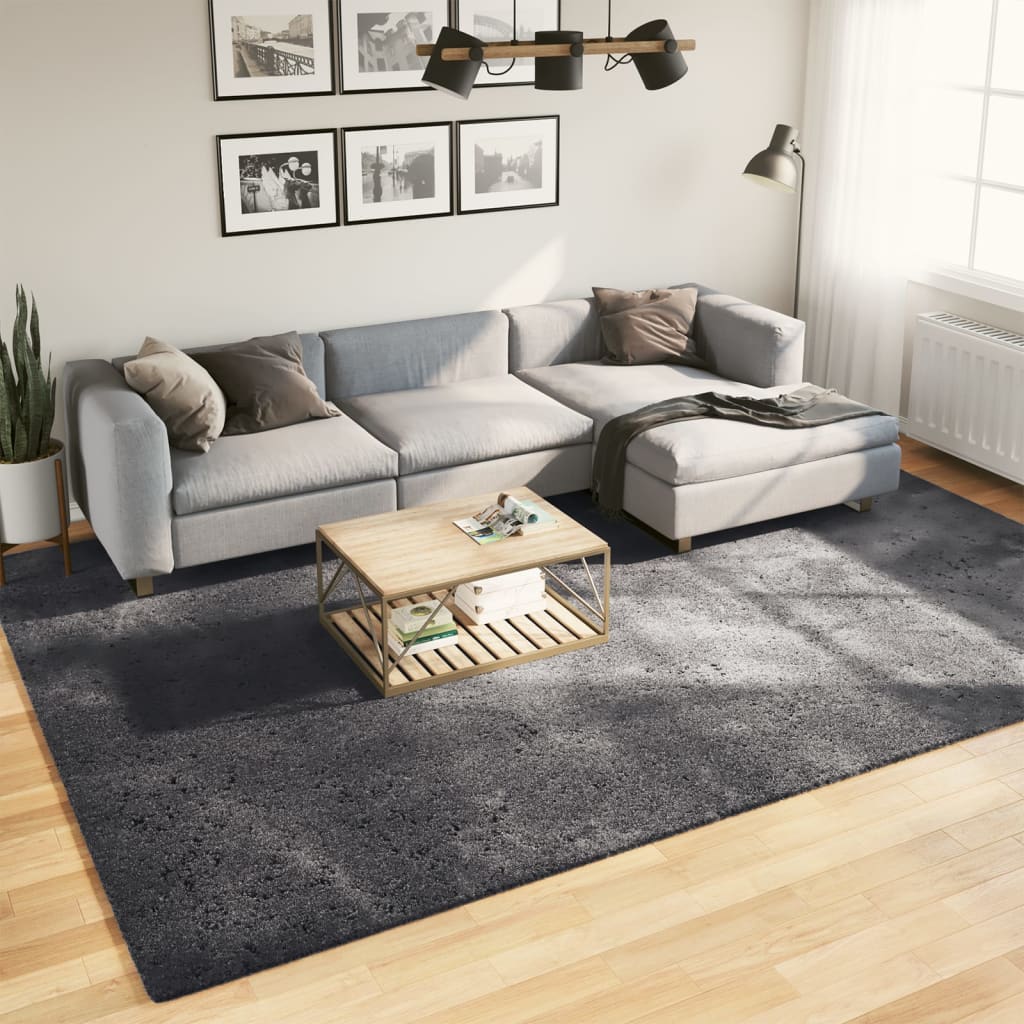 Vidaxl rug harte low -pole mëll ass lackble 240x340 cm Anthracit